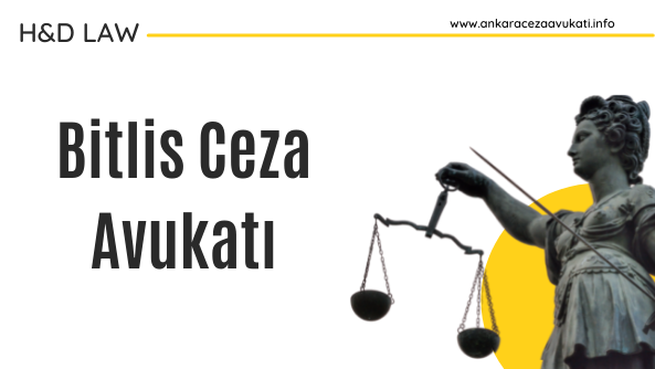 Bitlis ceza avukatı